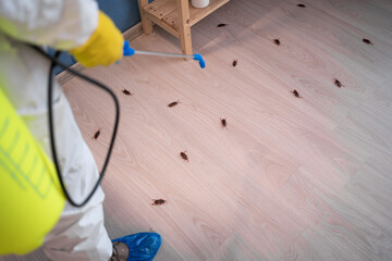 Pest control exterminating roaches. Male exterminator in protective suit and gloves spraying...