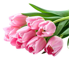 Obraz premium Bunch of delicate pink tulips with green stems against a black background