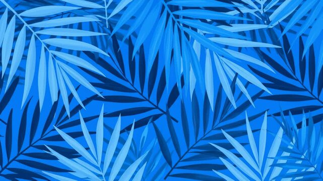 Tropical Palm Leaves Pattern Moving, Monochrome Blue