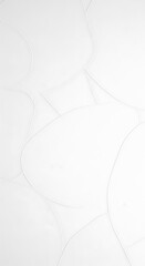 Subtle White Texture Background with Delicate Veins and Soft Light.