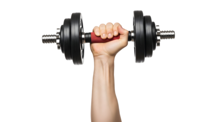Weight Training Dumbbell Exercise Fitness Gym Workout Muscle Arm Strength Sport