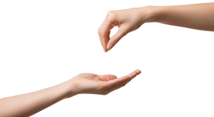 Giving Offering Hands Concept Care Gesture Charity Donation Support Receive