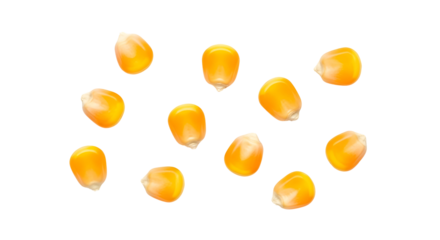Corn Kernels Grains Seeds Golden Yellow Maize Food Ingredient Texture