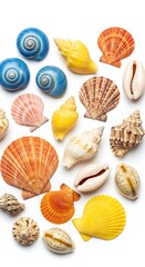 Colorful Seashell Collection - A Vibrant Array of Ocean Treasures.