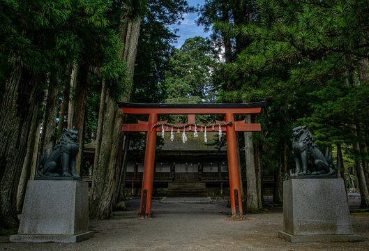 Traditional Torii Gate and guardian statues at a temple in Koyasan, Japan