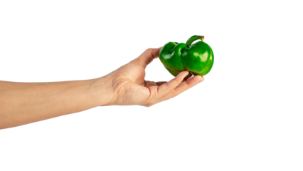 Green sweet bell pepper in hand isolated on transparent background