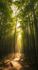 Sunlit Path Through a Serene Bamboo Forest.