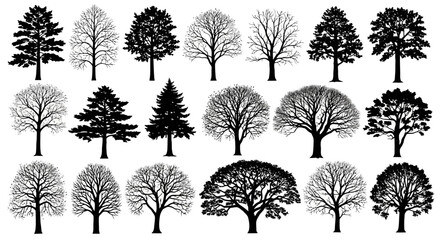 Collection of detailed vector tree silhouettes for landscape design and nature illustrations, white background © Alfarizi