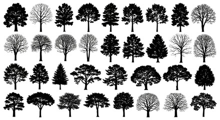 Collection of detailed vector tree silhouettes for landscape design and nature illustrations, white background © Alfarizi