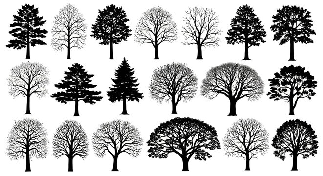 Collection of detailed vector tree silhouettes for landscape design and nature illustrations, white background