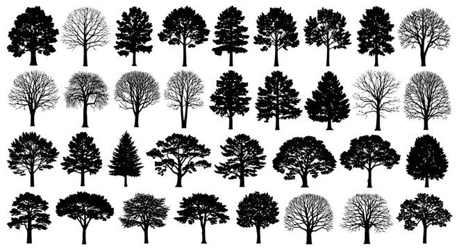 Collection of detailed vector tree silhouettes for landscape design and nature illustrations, white background