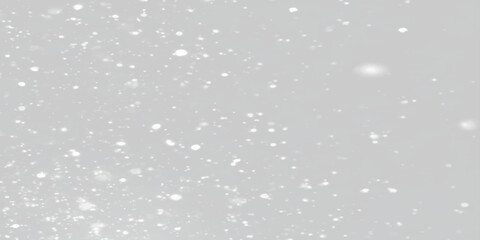 snow fall background of winter seasons, Silver Sparkling Lights Festive background with various falling snows, Silver and white snow confetti sparkles, Abstract sparkles grey and white bokeh lights.