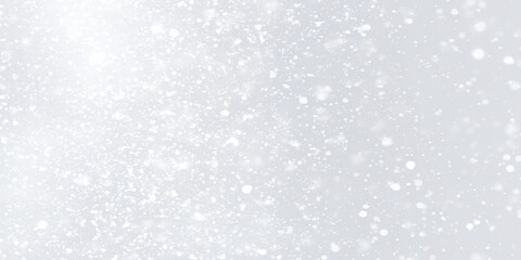 snow fall background of winter seasons, Silver Sparkling Lights Festive background with various falling snows, Silver and white snow confetti sparkles, Abstract sparkles grey and white bokeh lights.