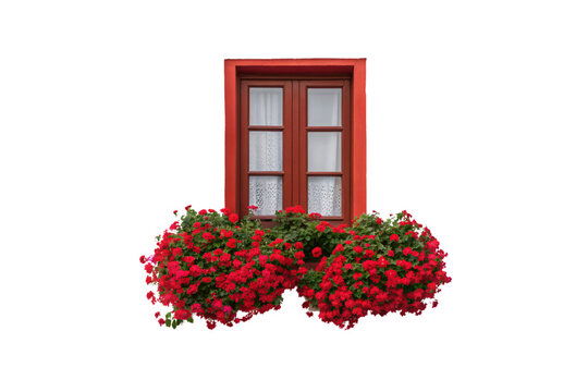 Red rustic window with abundant cascading red geraniums, white lace curtains, charming cottage style, isolated on a transparent background - Powered by Adobe