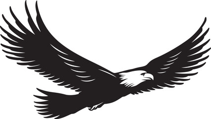 Sketch collection of eagles  Vector design using adobe illustrator..