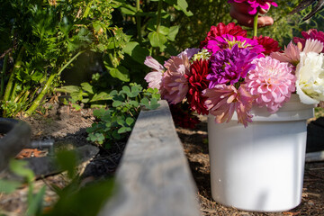 Close-up of garden bouquet beside raised bed and clover