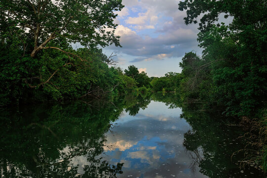 Still River Reflection along a green tree riverbed