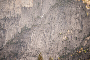 Close up of sheer granite rock face with scattered trees in Yosemite