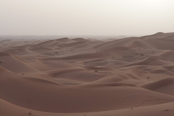 Orange sand dunes in Sahara desert