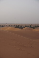 Orange sand dunes in Sahara desert