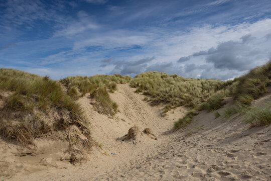 Ynyslas Sand Dunes are part of the Dyfi, National Nature Reserve