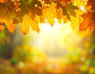 Fototapeta premium Orange fall leaves in park, sunny autumn natural background 