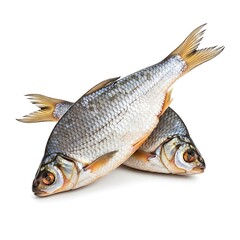 Two Dried Roach Fish Stacked on White Background.