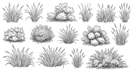 Collection of sketched grass and bushes in varying shades of gray and black on a white background, white background