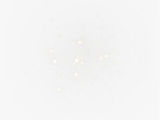 Elegant PNG overlay of luminous particles and sparkles, ideal for festive designs and holiday photo effects.