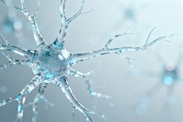 Neuron cell structure