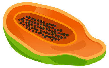 Papaya food vector representing tropical orange fruit rich in vitamins and fiber for healthy diets.