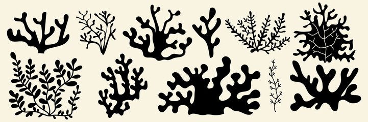 Black seaweed silhouettes set isolated on white background. Flat vector illustration of coral icons, abstract organic plants, underwater floral shadows for modern marine design patterns, sea nature