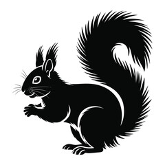 Fototapeta premium Black silhouette illustration of a squirrel holding food vector graphic for download silhouette