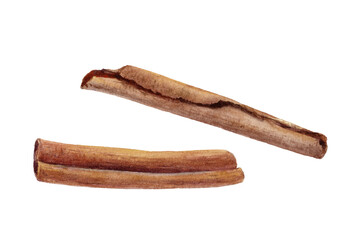 Watercolor Realistic Cinnamon Sticks Illustration, Aromatic Spice Isolated on White
