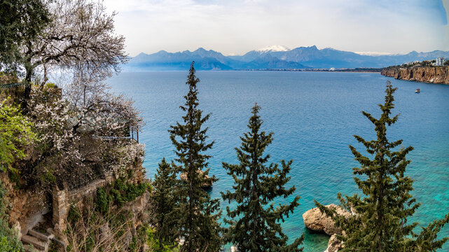 White almond blossoms frame a serene view from Kaleici's cliffs over the calm bay, with snow-capped Taurus Mountains in the distance, signaling spring's arrival in Antalya. Turkey.

