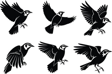 Stylized flying birds vector illustration, dynamic avian silhouettes in motion, black and white bird artwork, abstract wildlife design, editable stock graphic