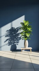 Monstera Plant in Sunlight - Minimalist Interior Design with Shadow Play.
