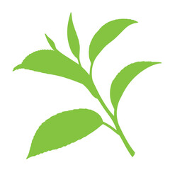 Green leaf branch silhouette vector illustration