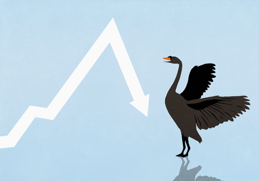 Chart arrow dropping deeply in front of black swan with spread wings
