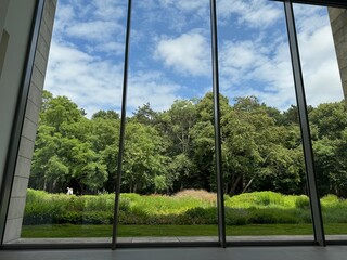 Beautiful green trees and other different plants under blue sky, view through panoramic windows