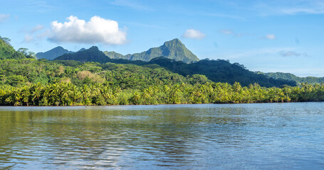 Navigating deep inland along the Faaroa River on Raiatea island, the only navigable river in French Polynesia, South Pacific Ocean.