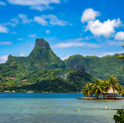 View of the iconic  Mont Tohiea from Opunohu Bay, Moorea, Society Islands, French Polynesia, South Pacific Ocean