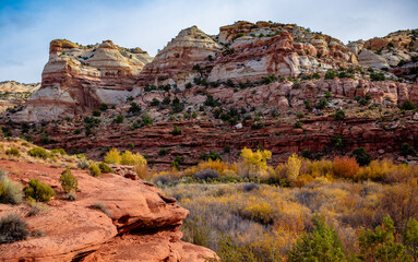 Views of Calf Creek Canyon, Grand Staircase Escalante National Monument, Utah