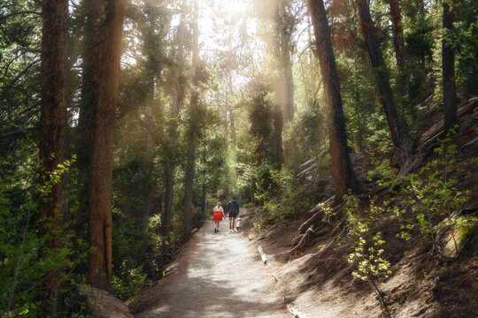 Dad and Daughter on hiking trail with sunshine coming through trees