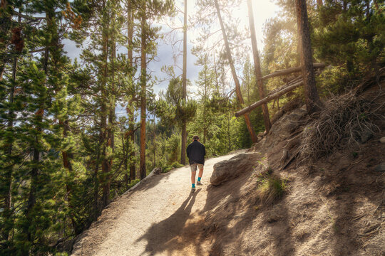 Boy Hiking Up Steep Path in Woods with Sun Shining