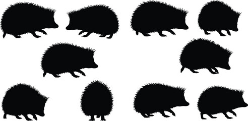 Silhouette hedgehogs in different poses, wild animal illustration, black and white vector design, forest wildlife nature concept, isolated artwork.