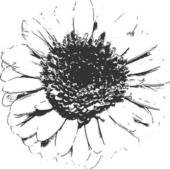 Web