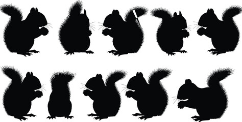 Silhouette of cute squirrels eating nuts, wildlife animals in different poses, vector illustration for nature, forest, and wildlife design