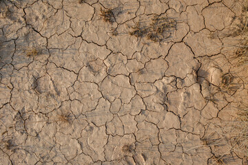 Dry Cracked Earth Texture in Arid Landscape Representing Drought