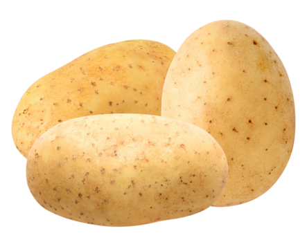 studio photograph of three whole, unpeeled, fresh raw potatoes stacked closely together, isolated against a deep transparent background, highlighting texture.